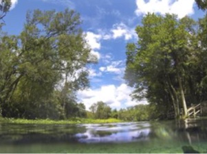 Council rallies defenders to protect Florida springs