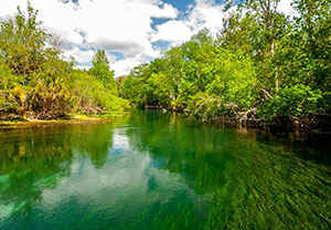 Board approves purchase of 4,900 acres to protect Silver Springs