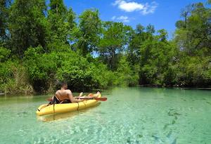 Florida Springs to Visit this Summer