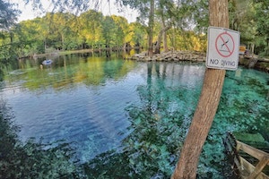 Why You Must Plan a Visit To Ginnie Springs