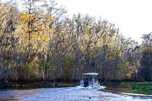 Jim Gross: River restoration would boost ecotourism