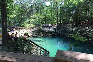Mosquitoes Not Bugging Visitors at Madison Blue Springs