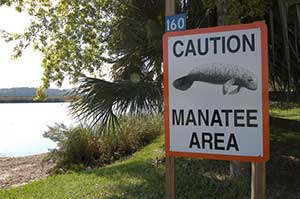 Seasonal manatee slow-zones in effect April 1-Nov. 15 in Florida