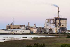 Pulp mills get major water permits with no deliberation