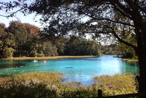 Florida Springs and Freshwater Aquifer Are at Risk