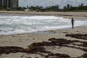 Red Tide bloom now touching all three of Florida's coasts