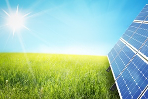 Solar Amendment advocates to Plead Their Case Before Supreme Court