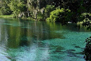 Springs in West-Central Florida