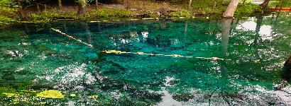 Clear water with algae floating