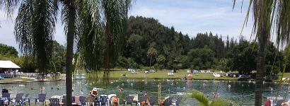 Full park at Warm Mineral Springs