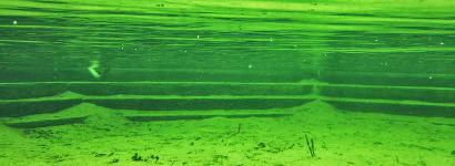 Underwater Green