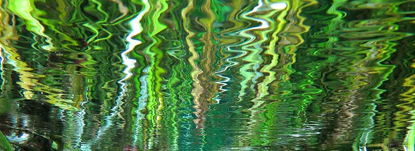 Mermaid of the Springs | Reflective Green at Ichetucknee head spring
