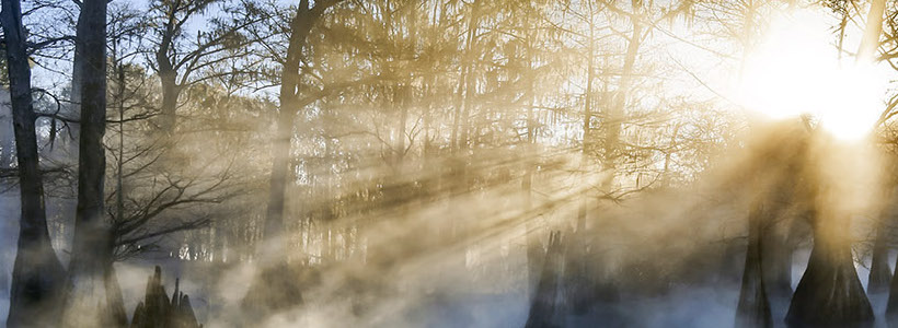Florida Nature Photography | Winter's Breath