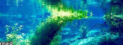 Mermaid Springs Underwater