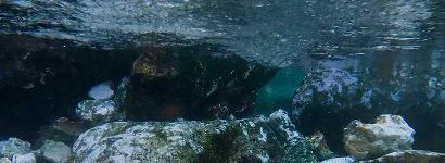 Underwater Rocks at Mermaid Springs