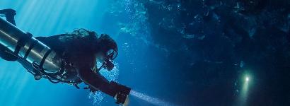 Ichetuckneed Blue Hole Diving