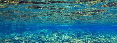 Silver Glen Spring - Underwater
